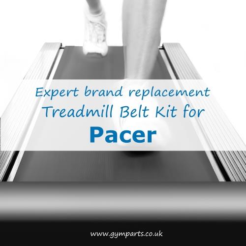 Pacer Treadmill Belt (Expert Brand)