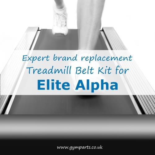 Elite Alpha Treadmill Belt (Expert Brand)