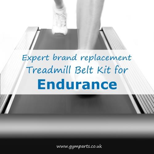 Endurance Treadmill Belt (Expert Brand)