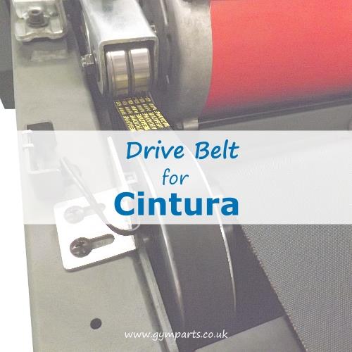 Cintura Fitness Drive Belt