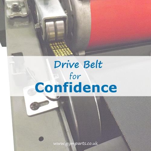 Confidence Fitness Drive Belt