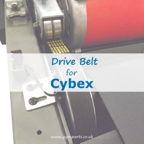 Cybex Drive Belt