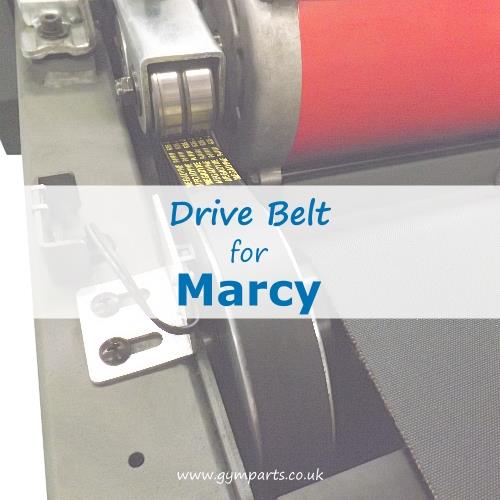 Marcy Drive Belt