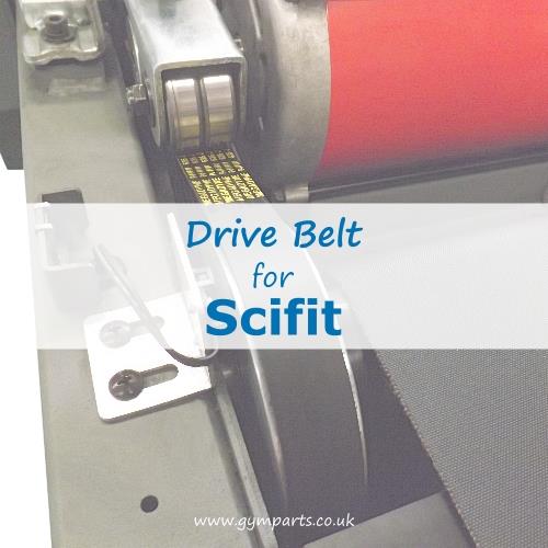 Scifit Drive Belt