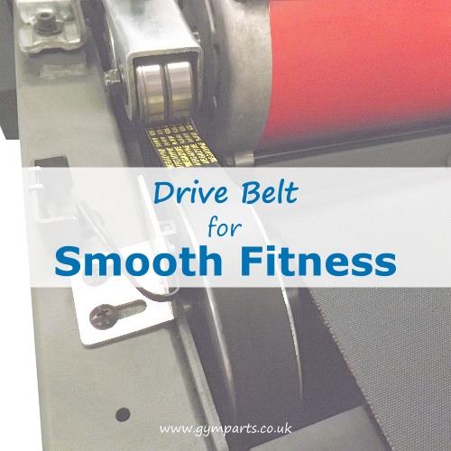 Smooth Fitness Drive Belt