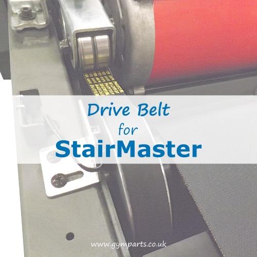 StairMaster Drive Belt