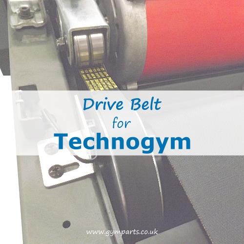 Technogym Drive Belt