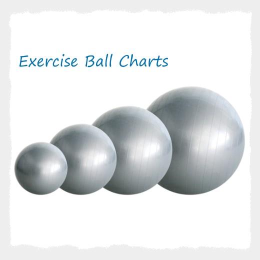 Exercise Ball Poster Charts