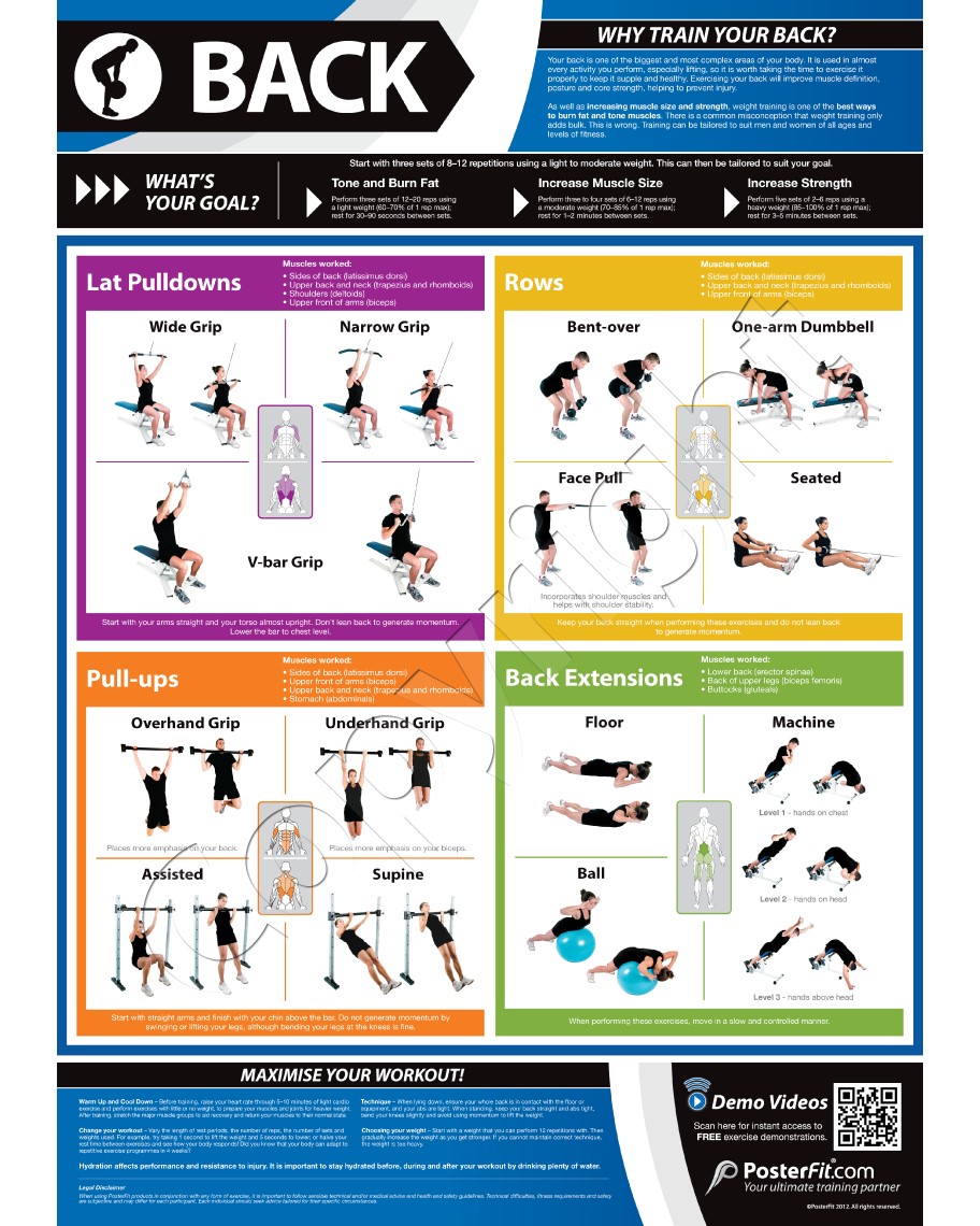 Back Exercise Wall Chart Poster