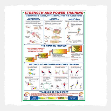 Training / Education (Strength + Power Training) Wall Chart Poster